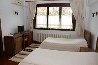 Отель Casa de Oaspeți Sfântul Nicolae Яссы Двухместный номер с 1 кроватью или 2 отдельными кроватями-8